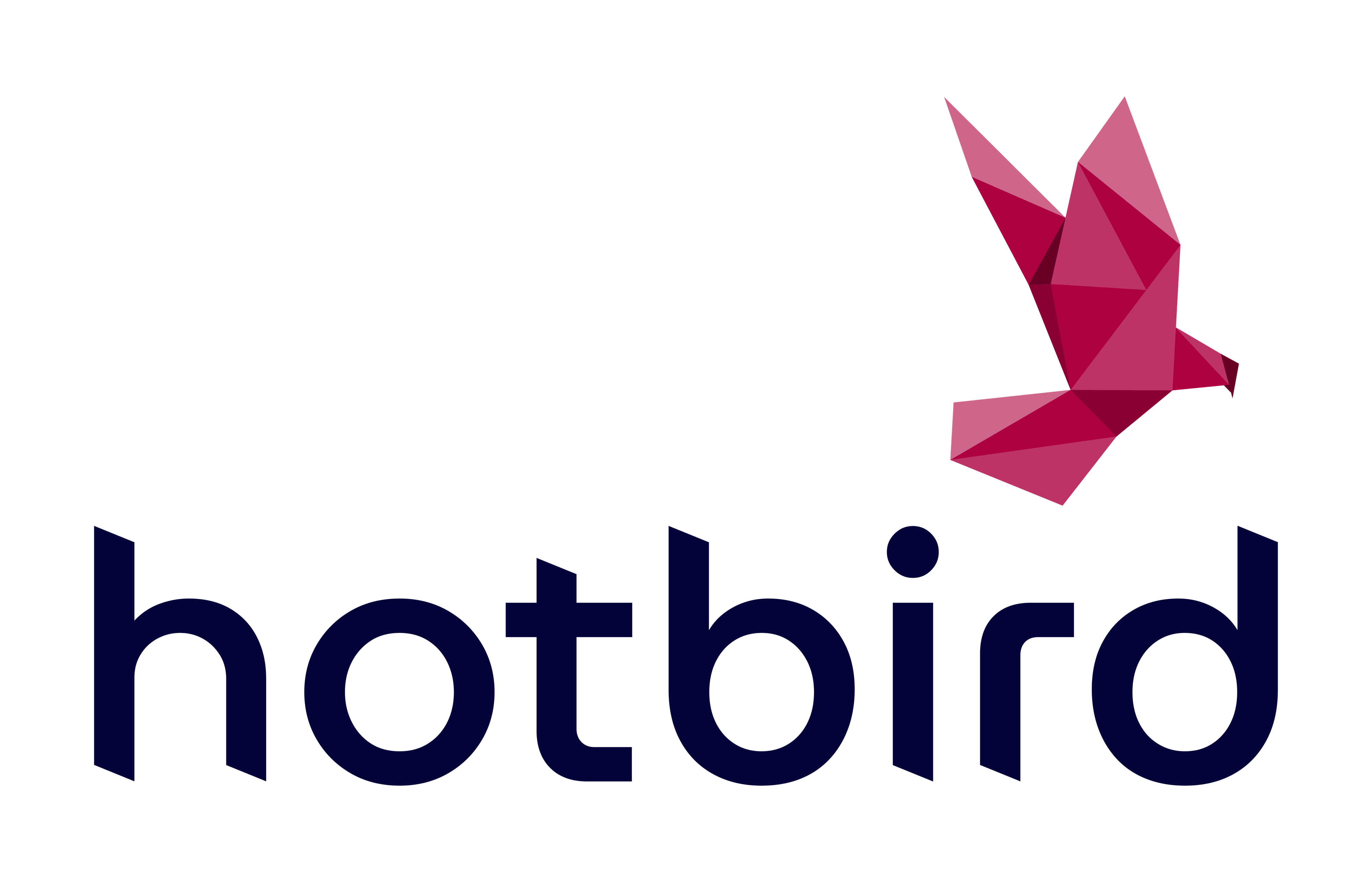 hotbird & Company Logo